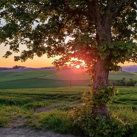 Hotel Habbel Und Welt Kann Warten 4*